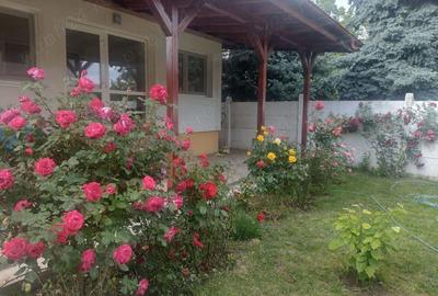 Vand casa Corbeanca - 3