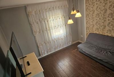 Casa Beregsaul mic+teren 1550 mp - 12