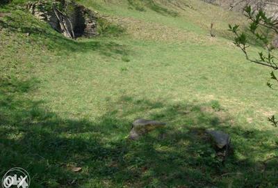 Teren Construcții intravilan de 3682 mp, în Măneciu-Ungureni - 3