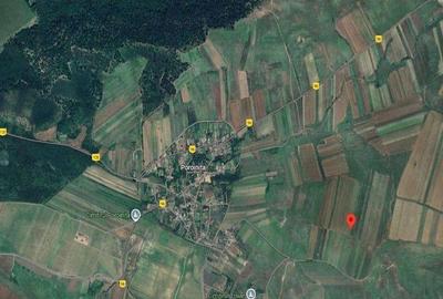 Cota de 1/2 din teren extravilan, comuna Rogova, Jud Mehe... Cota de 1/2 din teren extravilan, comuna Rogova, Jud Mehe... - 2