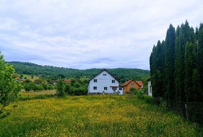 2335 mp TEREN INTRAVILAN, Negreni – Cluj, la 100 m de E60 Cluj – Oradea - 20