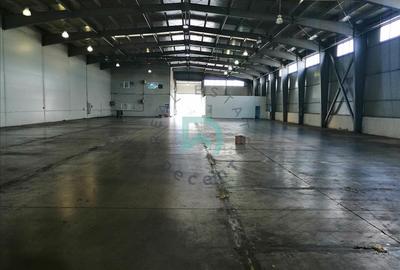 Vanzare hala industriala Brasov, Parc Industrial Prejmer - 29