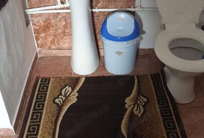 Casă cu 4 camere cu Teren 6000 Mp în Seaca - 8