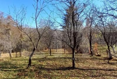 Teren de 29863 mp, în Central