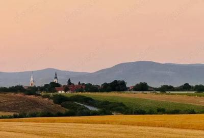 Teren de 6666 mp, în Alioș - 8