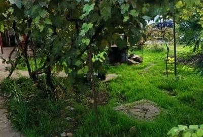 Teren vânzare zona Viile Noi - 2