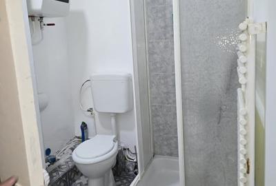 Inchiriere spatiu comercial - zona Precista, Piatra Neamt - 7