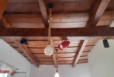 Vand casa taraneasca la 26 de km de Oradea - 4