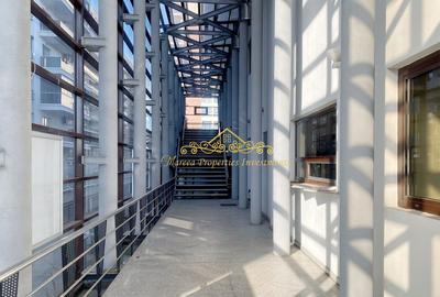 Spatiu comercial, Showroom, birouri Ghencea Drumul Taberei - 4