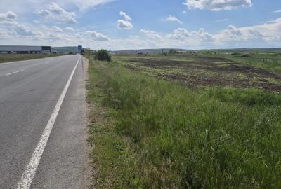 Teren Construcții intravilan de 10000 mp, în Ungheni - 2
