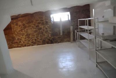 Spațiu comercial, de 300 mp, în Aradul Nou - 7