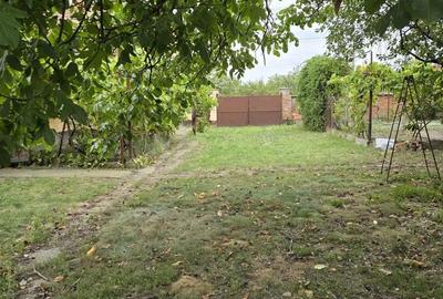 Casă cu Teren 2500 Mp în Turnu - 1