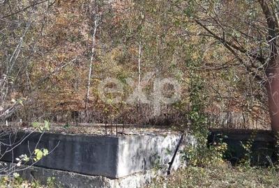 Teren Construcții de 1250 mp, în Vălenii de Munte - 5