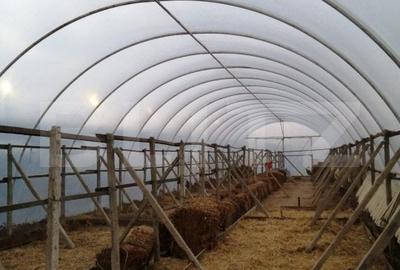 Teren 14.000 mp, zona Drambar - Ciugud - 7