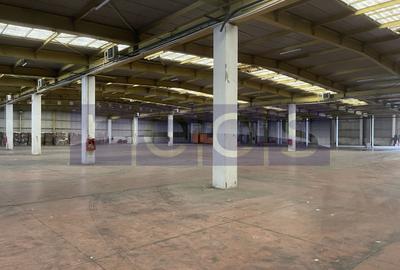 Spațiu industrial, de 19,300 mp, în Odăi - 2