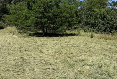 Spațiu comercial, în Pișchia - 5