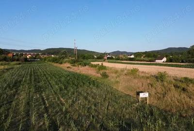 Teren Intravilan Budesti - 4