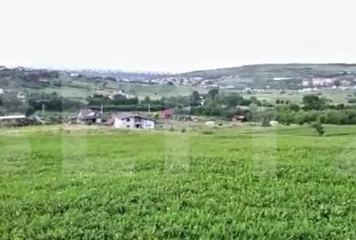 Teren de 4039 mp, în Borhanci