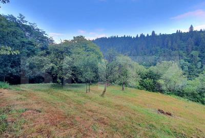 Teren intravilan, 31 ari, Ilva Mica, zona montana - 3