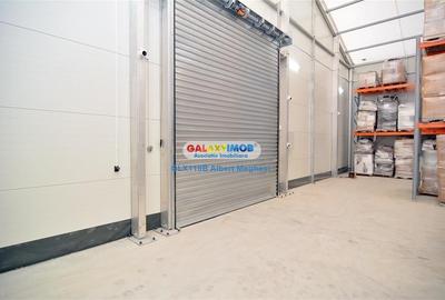 Vanzare hala 400 mp+teren 1500 mp Tunari - 12