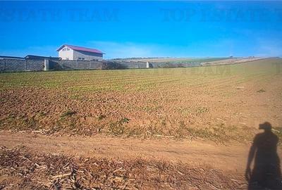 Teren extravilan, arabil, in imediata apropiere de Craiova, in localitatea Simni - 1