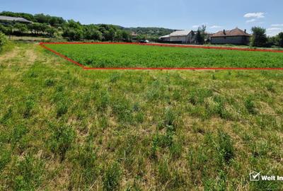 Teren intravilan 2000 mp - Popesti (Baciu) Ideal pentru casa, gradina si livada - 4