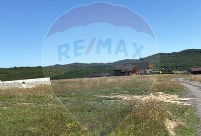 Teren 3,757mp Paltinoasa / Strada principala - 6