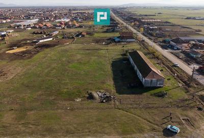 Hală industrială cu teren generos în Zărand, Arad - 55