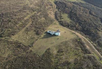 Castel cu vedere panoramica pe dealul ?iriei - 17