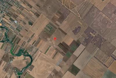 Teren Extravilan In Rate Primaverii Com. Berceni | 12.576mp | #EG41 - 3