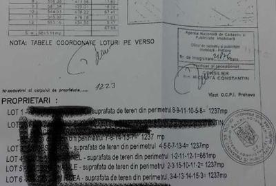 Spațiu comercial, în Trăisteni - 8