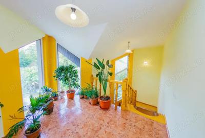 Casă cu 6 camere în Baia Sprie - 9