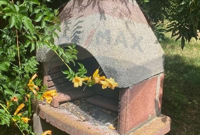 DE VANZARE Vila de vacanta in Pucioasa /Dambovita - 54