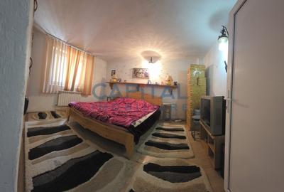 Cabana la munte Rucar / Satic - 10