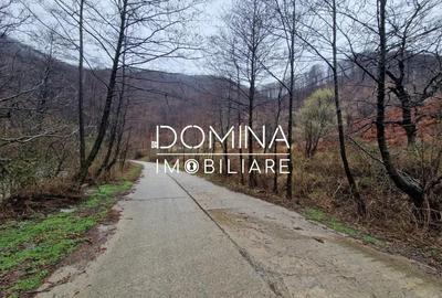 Teren de 4416 mp, în Peștișani - 2