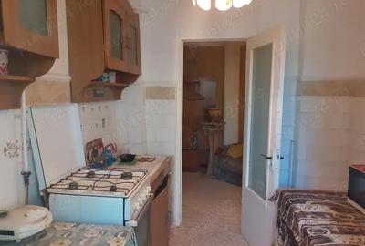 Apartament cu 3 camere decomandat în Barieră - 18