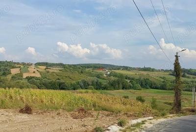 Teren de 18000 mp, în Drăgești - 1