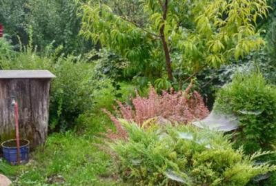 Colt de rai intr-un peisaj de poveste! Casa 4 camere intre D Colt de rai intr-un peisaj de poveste! Casa 4 camere intre D - 4