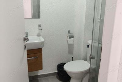 Vila Faleza 10 camere - 2