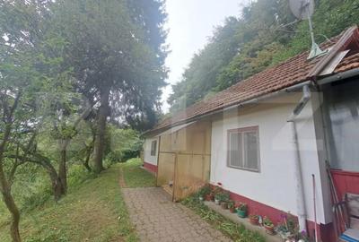 Casă cu 2 camere cu Teren 1000 Mp în Vulcan - 1