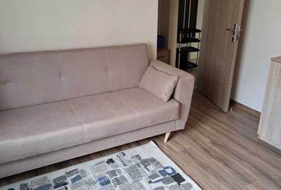 Garsonieră decomandată în Tudor - 5