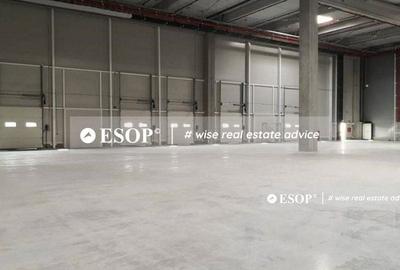 Spațiu comercial, de 5,000 mp, în Chitila