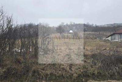 Teren Intravilan la Intrare in Ghinda - 3 parcele de cate 15 arii - 2