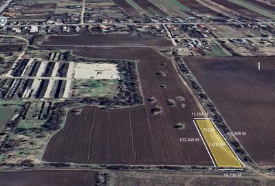 Teren de 48300 mp, în Butimanu - 2