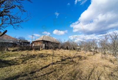 Casa traditionala argeseana cu teren generos - comuna Vedea, jud. Arges - 7