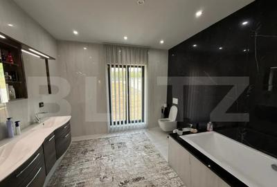 Casă cu 5 camere cu Teren 3500 Mp în Viile Satu Mare - 5