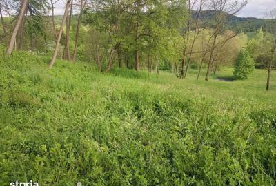 Teren de 3513 mp, în Vișinești - 3
