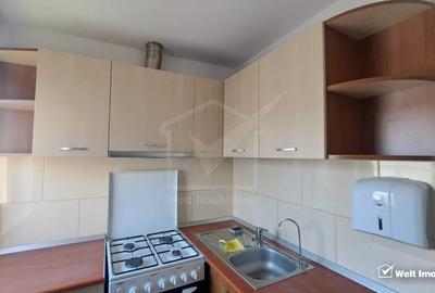 Inchiriere casa cu gradina, pretabil birou, zona Traian Vuia, Mina - 11
