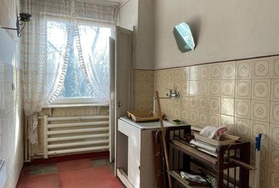 Gara- Bd. Ferdinand, apartament cu 2 camere decomandate, liber, vedere spre parc - 9