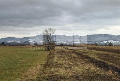 Teren agricol extravilan de 8000 mp, în Vicovu de Sus - 4